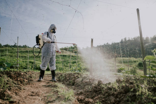 Best Commercial Pest Control Services  in Elizabethtown, KY